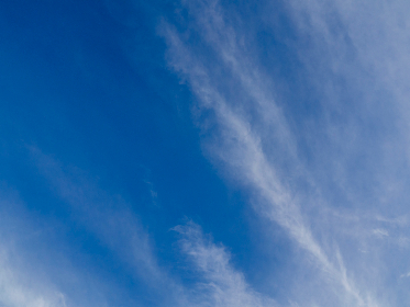 如何在手机浏览器中使用about:blank打开漫画资源 如何在手机浏览器中使用about:blank打开漫画资源