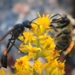 如何在安卓设备上顺利下载GTV官网应用 47wni8l