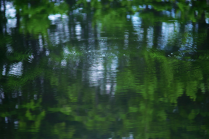 大王导航跳转进行中：探索更便捷的出行方式与服务体验