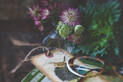 寻找附近出售的四轮车，轻松找到您的理想座驾