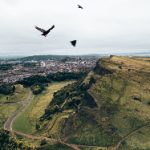 what is vidhub app:探索这款创新视频分享应用的功能与优势 8hdqi1ys98