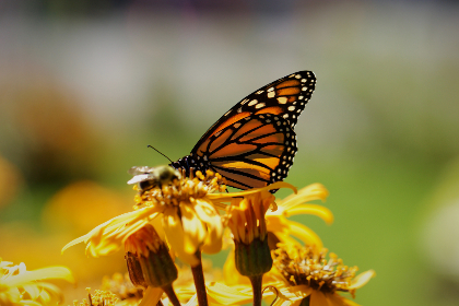 动漫之家最新动态与热门作品推荐