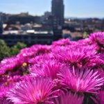 寻找狗头萝莉:她的煎饼摊位在哪里? j3ik04