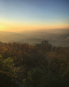 免费电影在线观看的网站:畅享海量电影资源的最佳选择推荐 免费电影在线观看的网站:畅享海量电影资源的最佳选择推荐