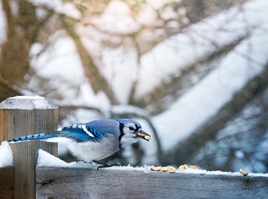 八一影院在线观看免费：畅享最新电影，尽在八一影院无广告观看！