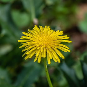 探索www.acg.com：发现动漫文化的无限魅力