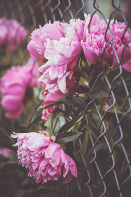 探索哈克尼：英国伦敦的创意文化与历史魅力