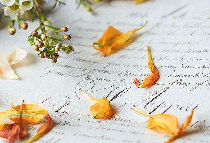 探索Proumb18+：成人内容平台的崛起与影响