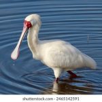 探索m371.ccc:数字时代的新兴平台与应用 51ipwlxa