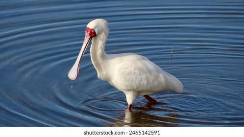 探索m371.ccc：数字时代的新兴平台与应用