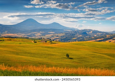 探索爱情岛独家论坛官方网站的魅力与精彩