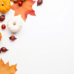 探索哈哩哈哩官网:尽享精彩内容与服务 cpwf8