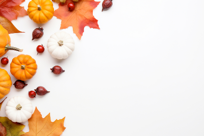 探索哈哩哈哩官网:尽享精彩内容与服务 探索哈哩哈哩官网:尽享精彩内容与服务