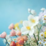 探索 Pawoo Transpedo:数字时代的社交新平台 cty5379c2