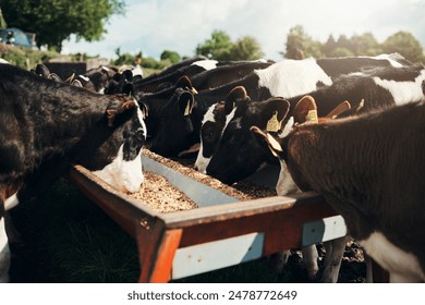 探索爱情岛论坛aqdltvip首页的精彩内容与互动体验