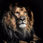 探索DIY第一版主网:创意与灵感的无限可能 gb2vos97i