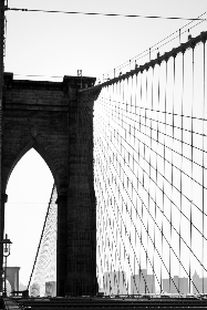 探索神马电影院94白胡子的独特魅力与精彩影片