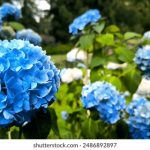 探索www.baoyu.com:丰富的资源与精彩内容等你发现 kee0xi9d