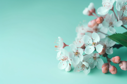 探索好大学在线脚本：提升学习效率的最佳工具