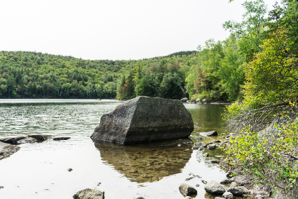探索肉漫屋：美味与创意的完美结合之旅